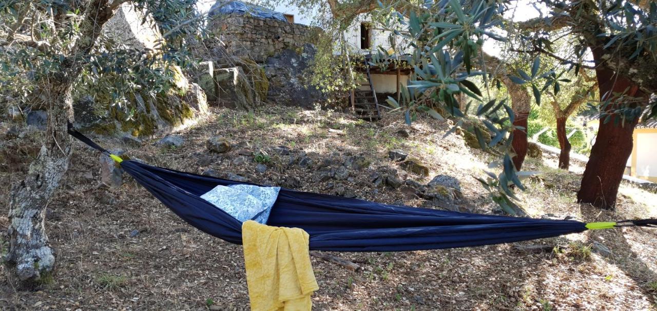 فيلا Casa Do Passaro Galegos  المظهر الخارجي الصورة