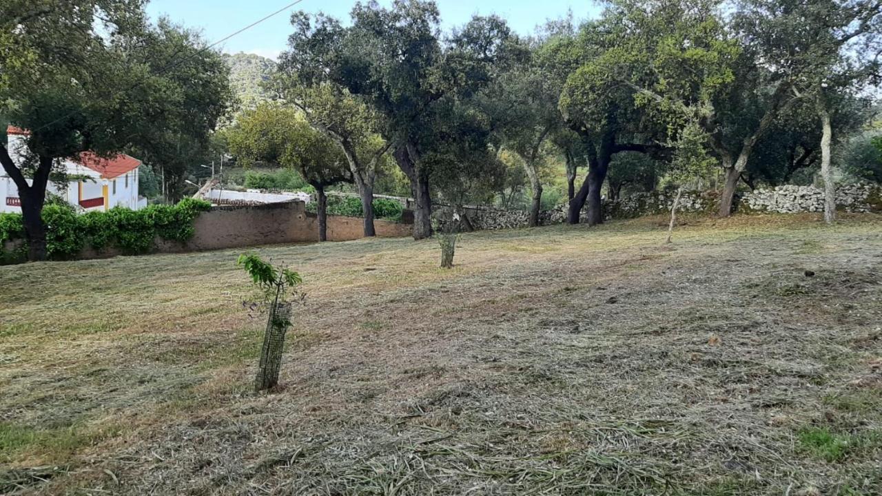 فيلا Casa Do Passaro Galegos  المظهر الخارجي الصورة