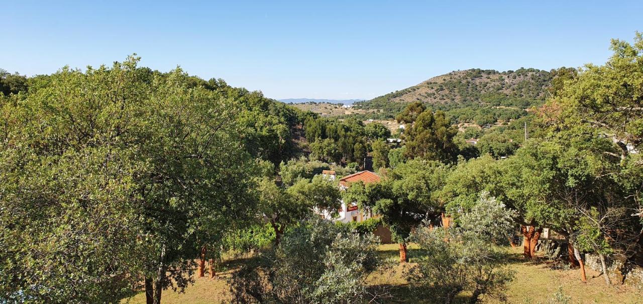فيلا Casa Do Passaro Galegos  المظهر الخارجي الصورة