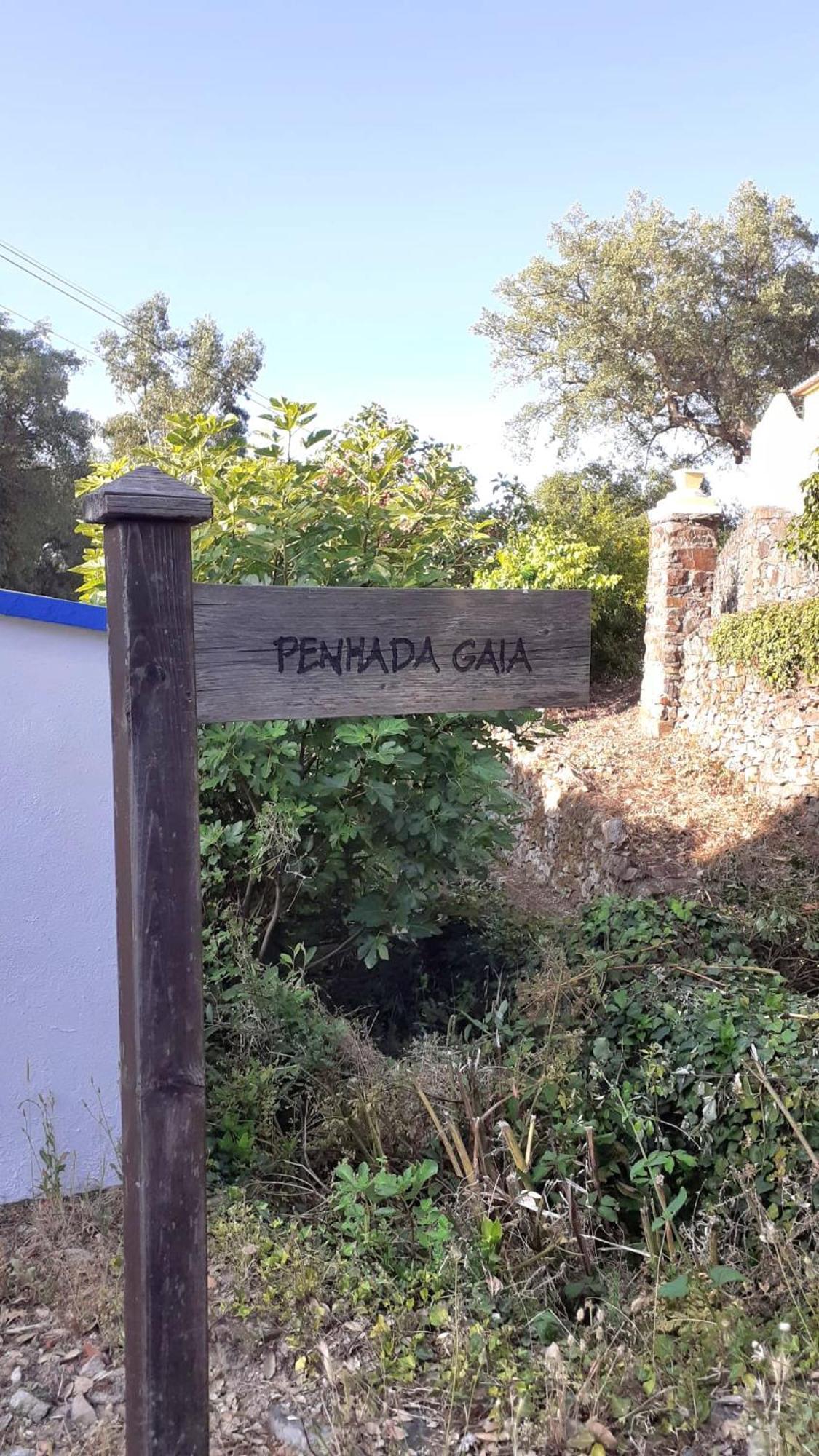 فيلا Casa Do Passaro Galegos  المظهر الخارجي الصورة