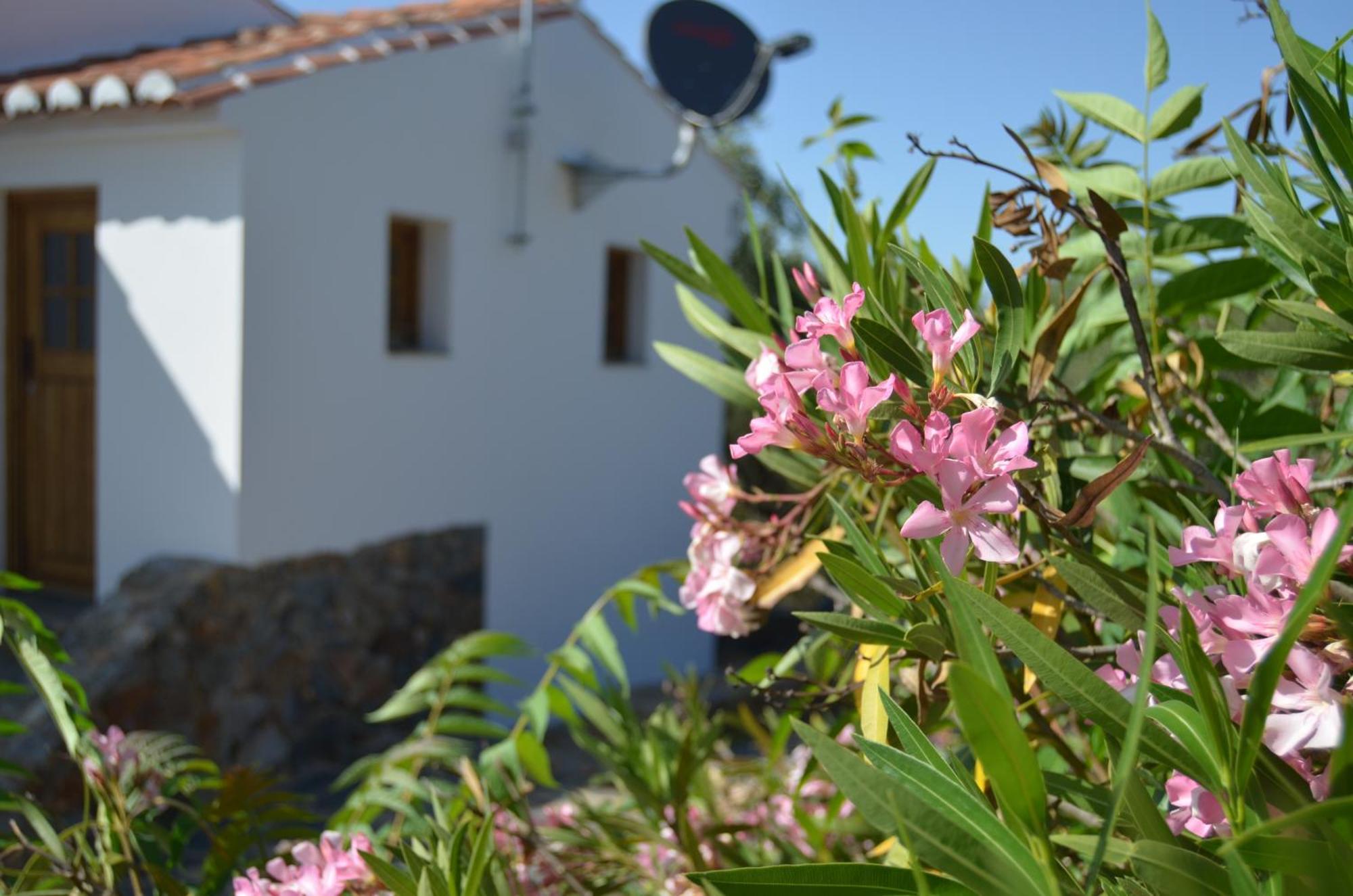 فيلا Casa Do Passaro Galegos  المظهر الخارجي الصورة